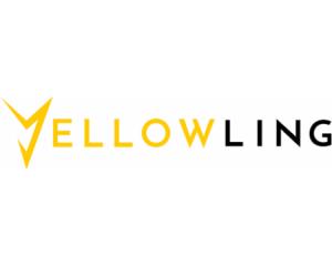 Yellowling é confiável? Conheça a empresa e veja se vale a pena