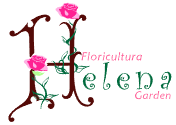 Cupons Floricultura Helena Garden