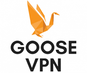 Cupons Goose VPN