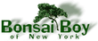 Código Bonsai Boy