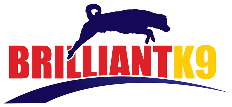 Código BrilliantK9