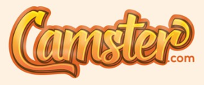 Las mejores ofertas Camster