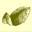 Casa Pià Logo