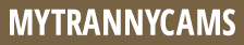 Las mejores ofertas MyTrannyCams