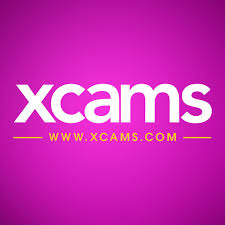 Las mejores ofertas Xcams
