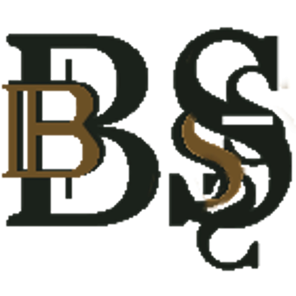 Barokspiegel Logo