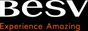 BESV Logo