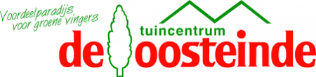 De Oosteinde Online Logo