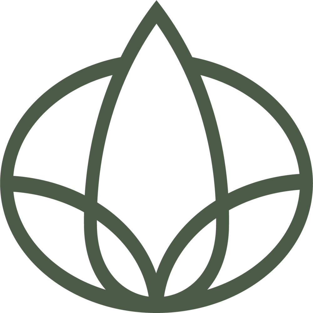 Dfuser Logo