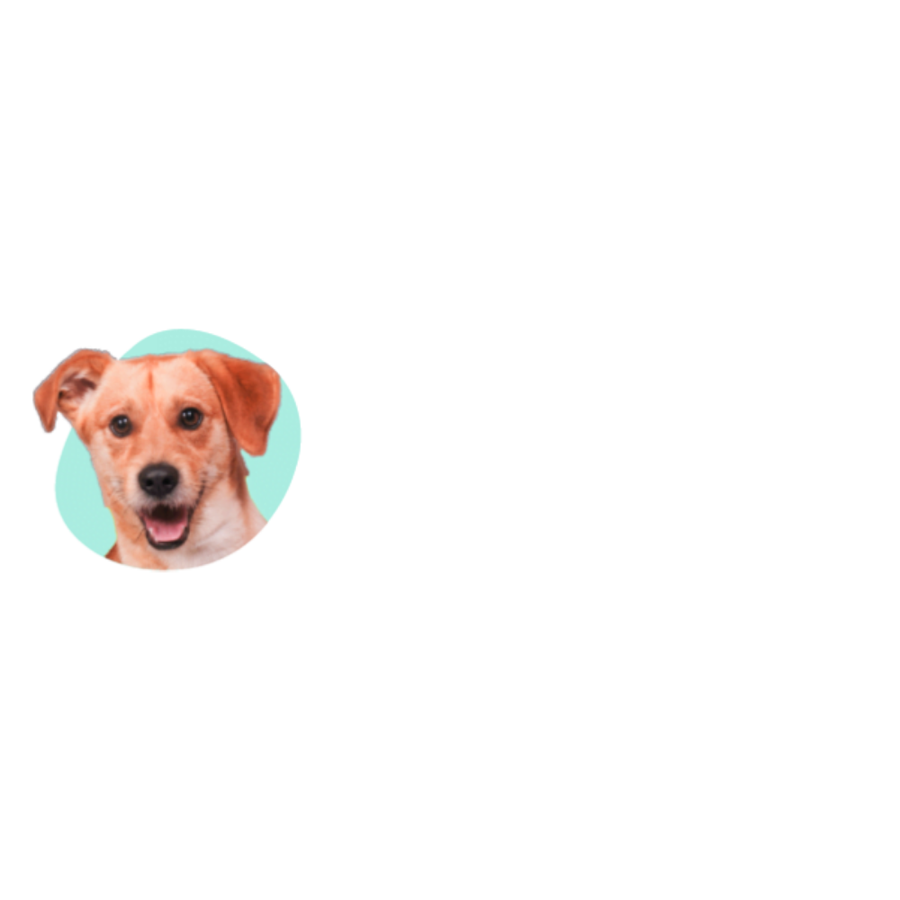 DKProducts Logo