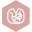 Felin Logo