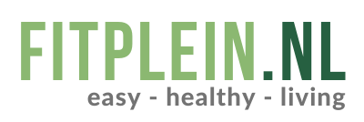Fitplein Logo