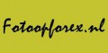 FotoOpForex Logo