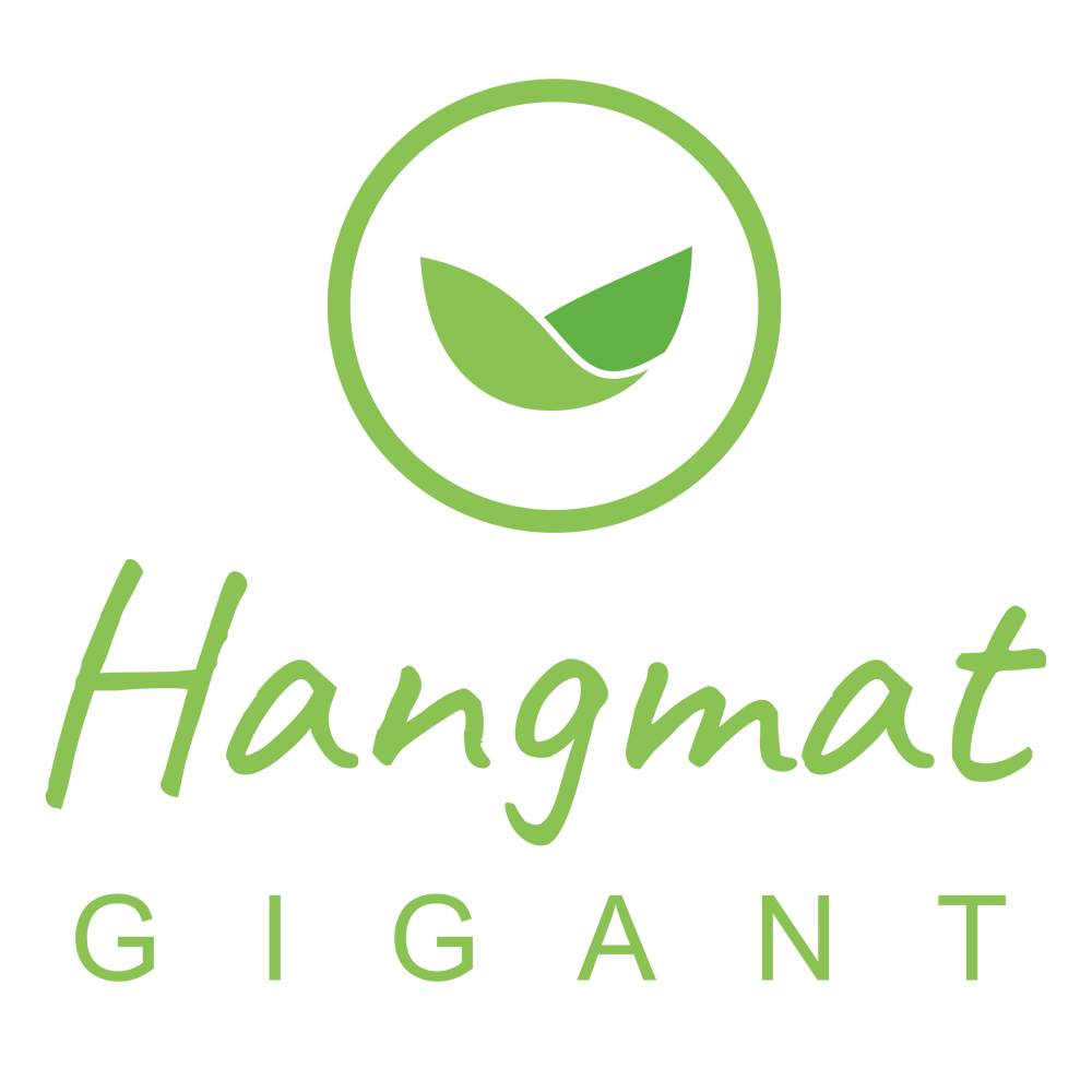 Hangmatgigant Logo