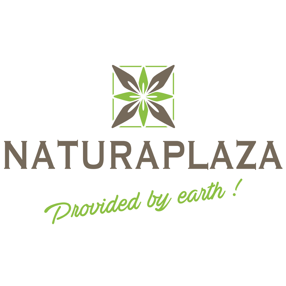 Naturaplaza Logo