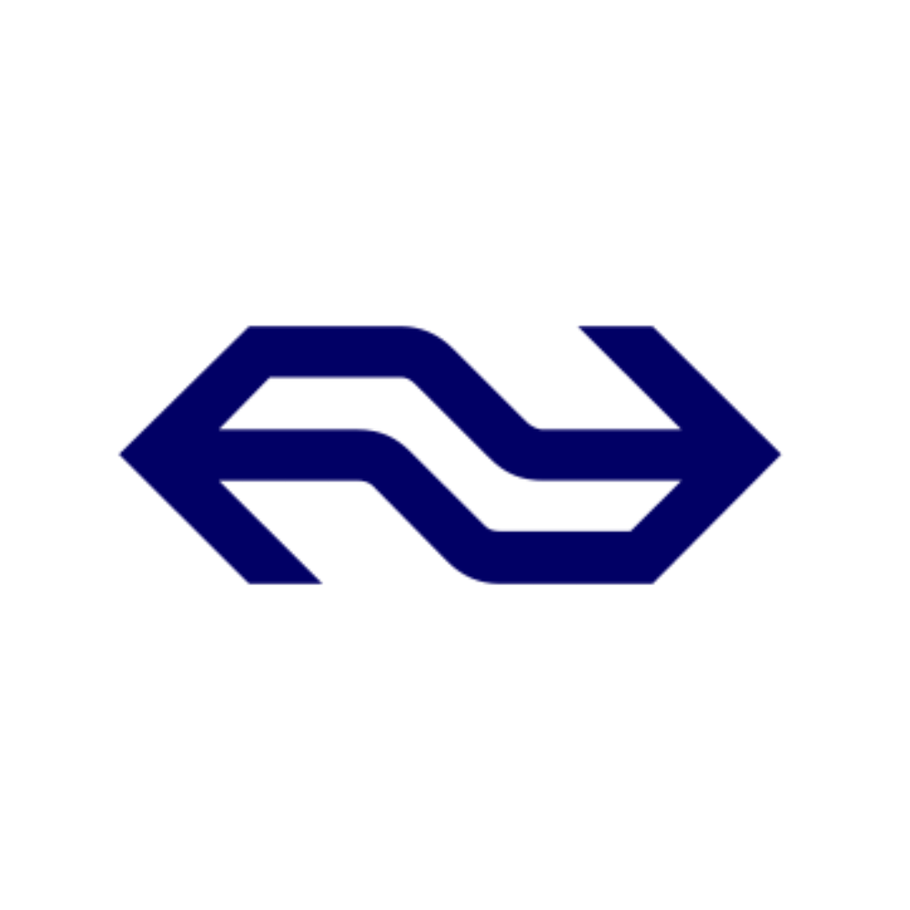 NS Logo