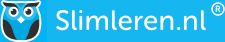 Slimleren Logo