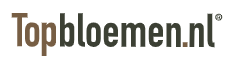 Topbloemen Logo