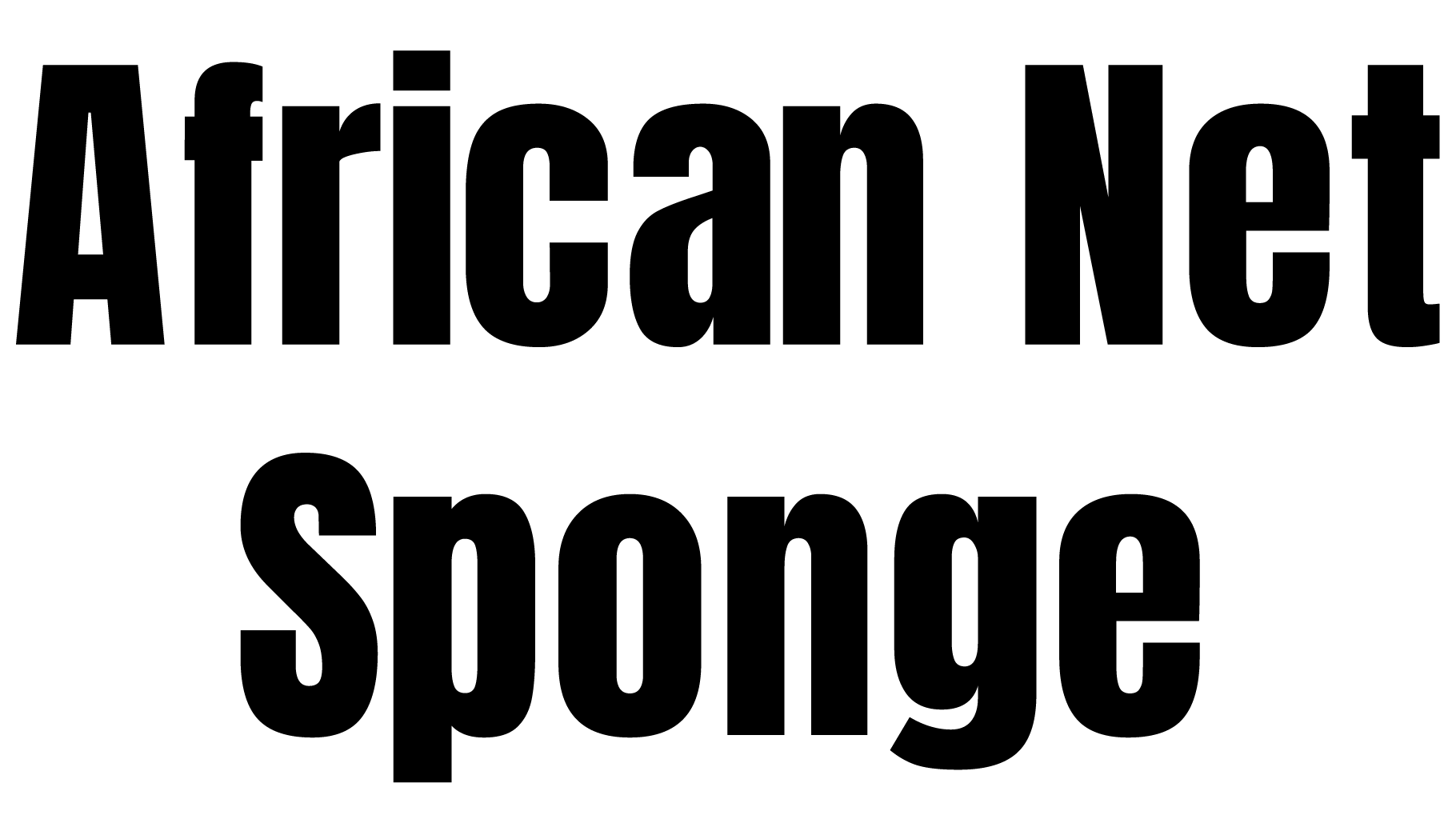 AfricanNetSponge Logo