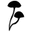 Auri Nutrition Logo