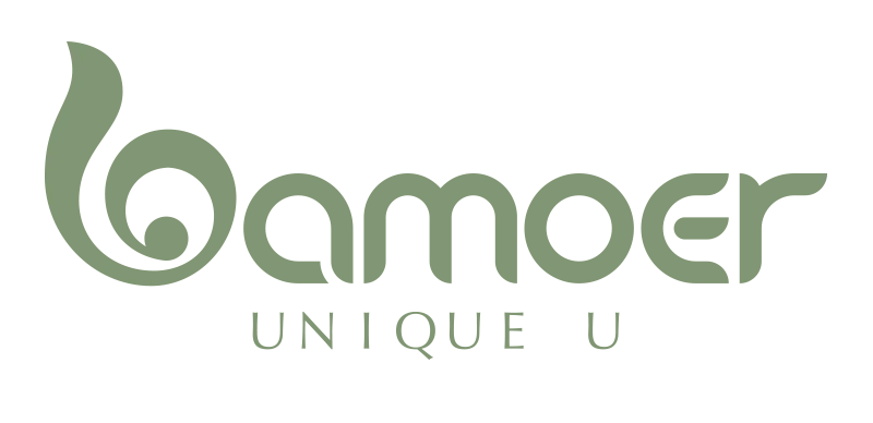 Bamoer Logo