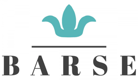 Barse Jewelry Logo