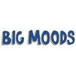 Big Moods Logo