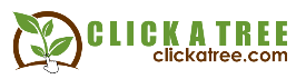 Click A Tree Logo