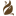 Coffees of Hawaii Logo