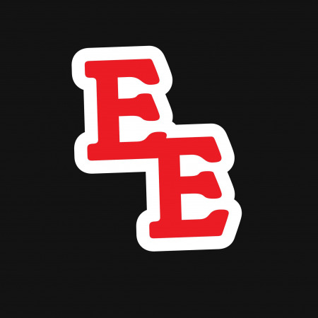 Electronic Express Logo