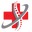 Fusion Pain Solutions Logo