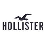 Hollister Logo