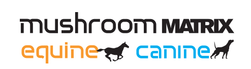 Mushroom Matrix Logo