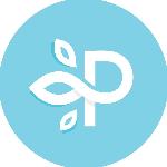 Perfect Image Logo