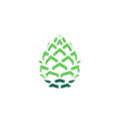 Pinecone Research Logo