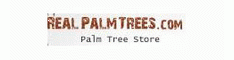Real Palm Trees Logo