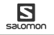 Salomon Logo