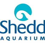 Shedd Aquarium Logo
