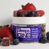 SleepsCBN Logo