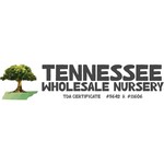 Tennessee Wholesale Nursery Logo