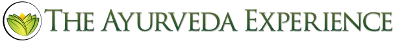 The Ayurveda Experience Logo