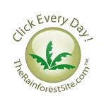 The Rainforest Site Logo