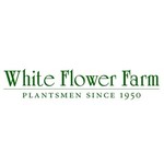 White Flower Farm Logo