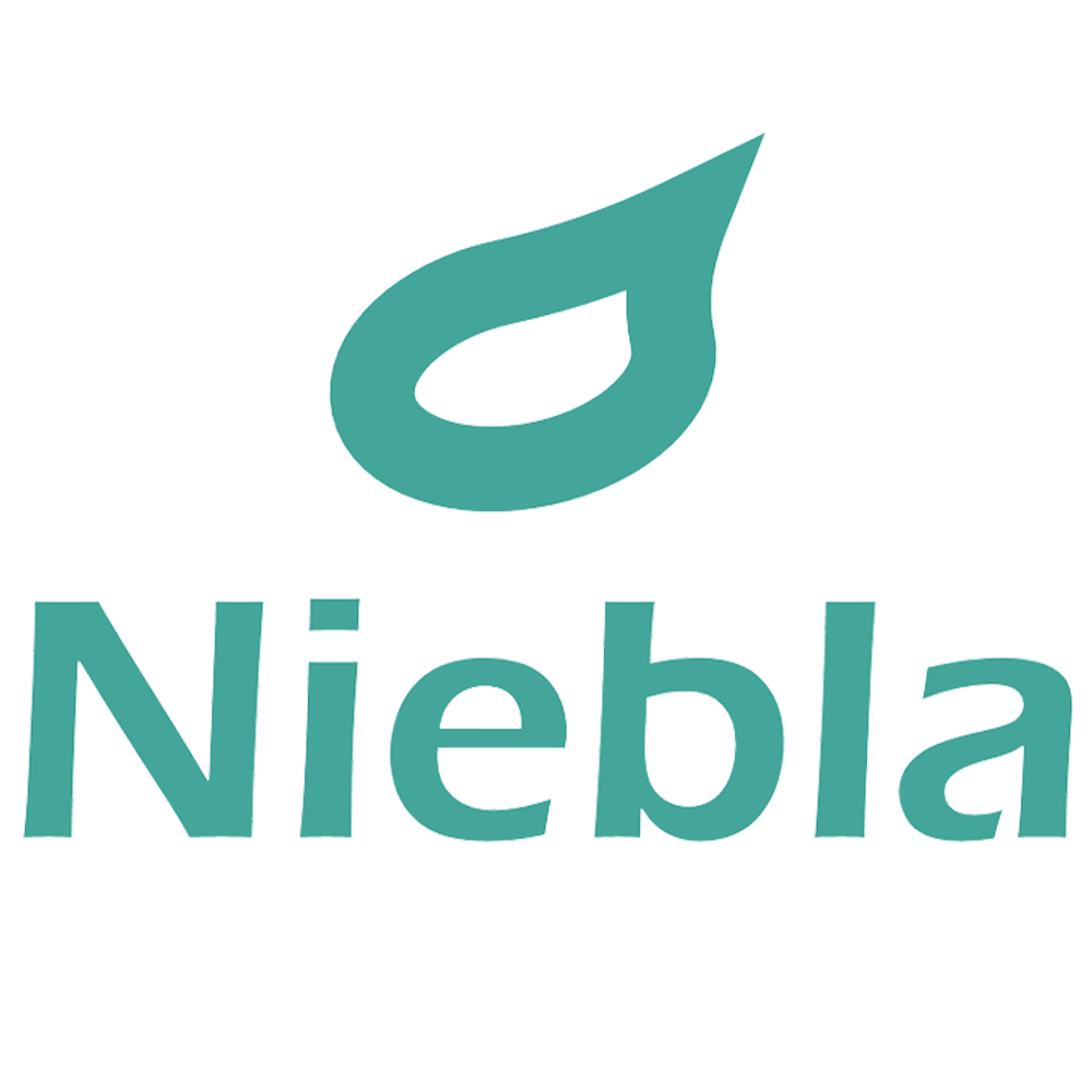 Niebla.nl Logo